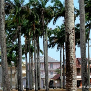 Guyane Française