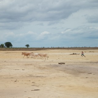 Sénégal